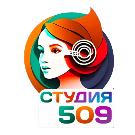 Логотип Студия 509